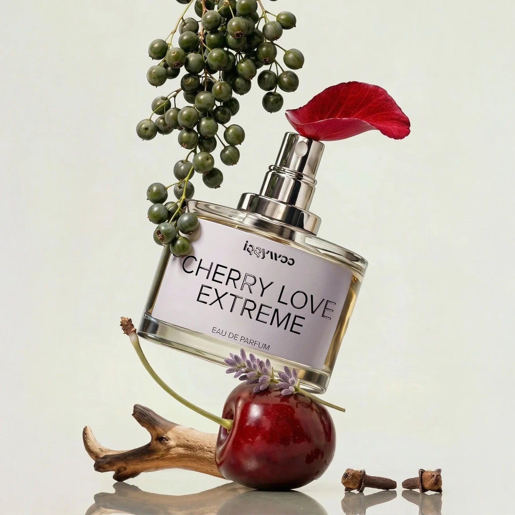 Velvet Comfort – Modern Gourmand Parfum Discovery Set