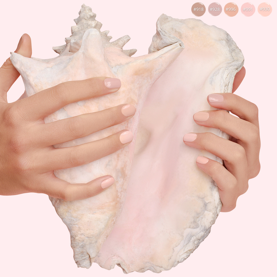 2 Hände halten eine große Muschel, die Nägel sind in verschiedenen Le Rouge Francais Nagellack Nude Tönen lackiert. North Glow
