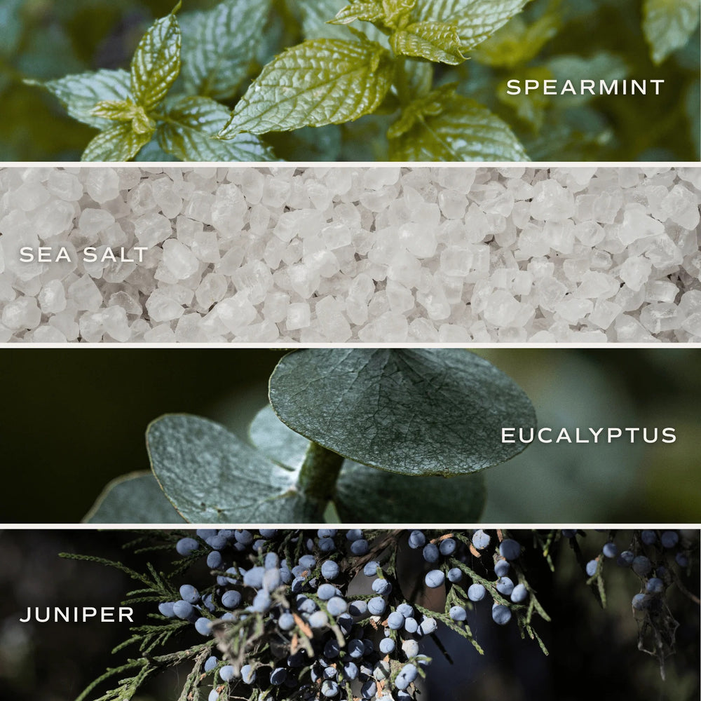 Bilder der Duftstoffe der Bath Bomb Restore and Renew - Sweet Water Decor