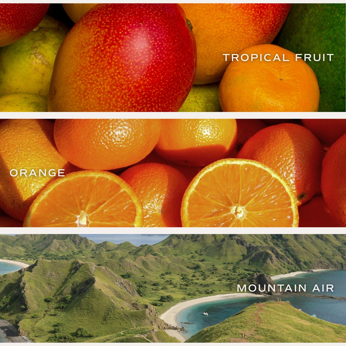 Island Air Duft mit Orange, Zitrone, Limette und tropischen Früchten