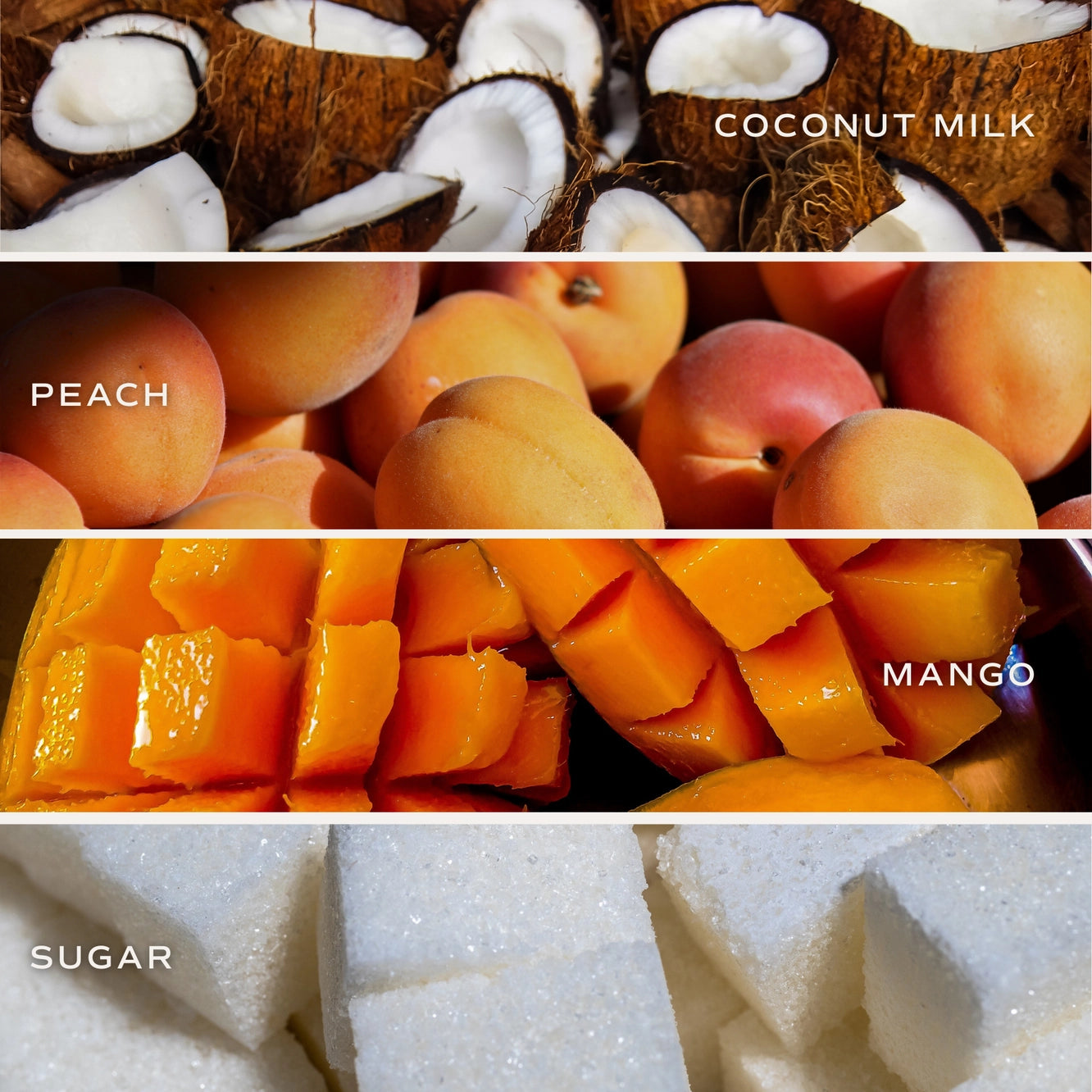 Duftkerze mit Mango, Pfirsich, Orange und Kokosmilch 