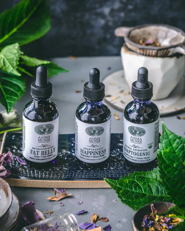 ADAPTOGENIC 7 - Mushrooms & Camu Camu | double extracted Tonic ANIMA MUNDI