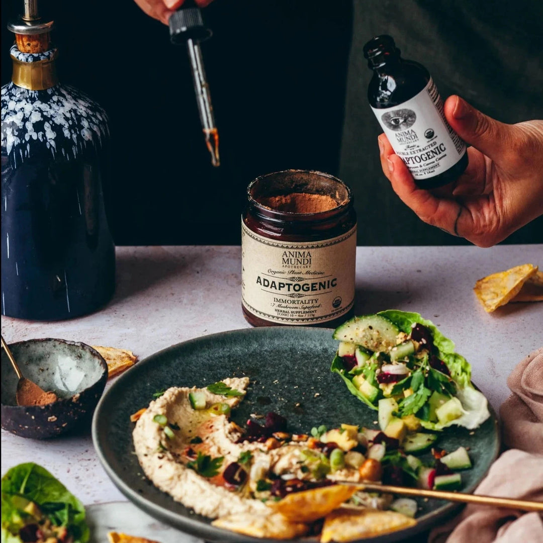 ADAPTOGENIC 7 - Mushrooms & Camu Camu | double extracted Tonic ANIMA MUNDI North Glow