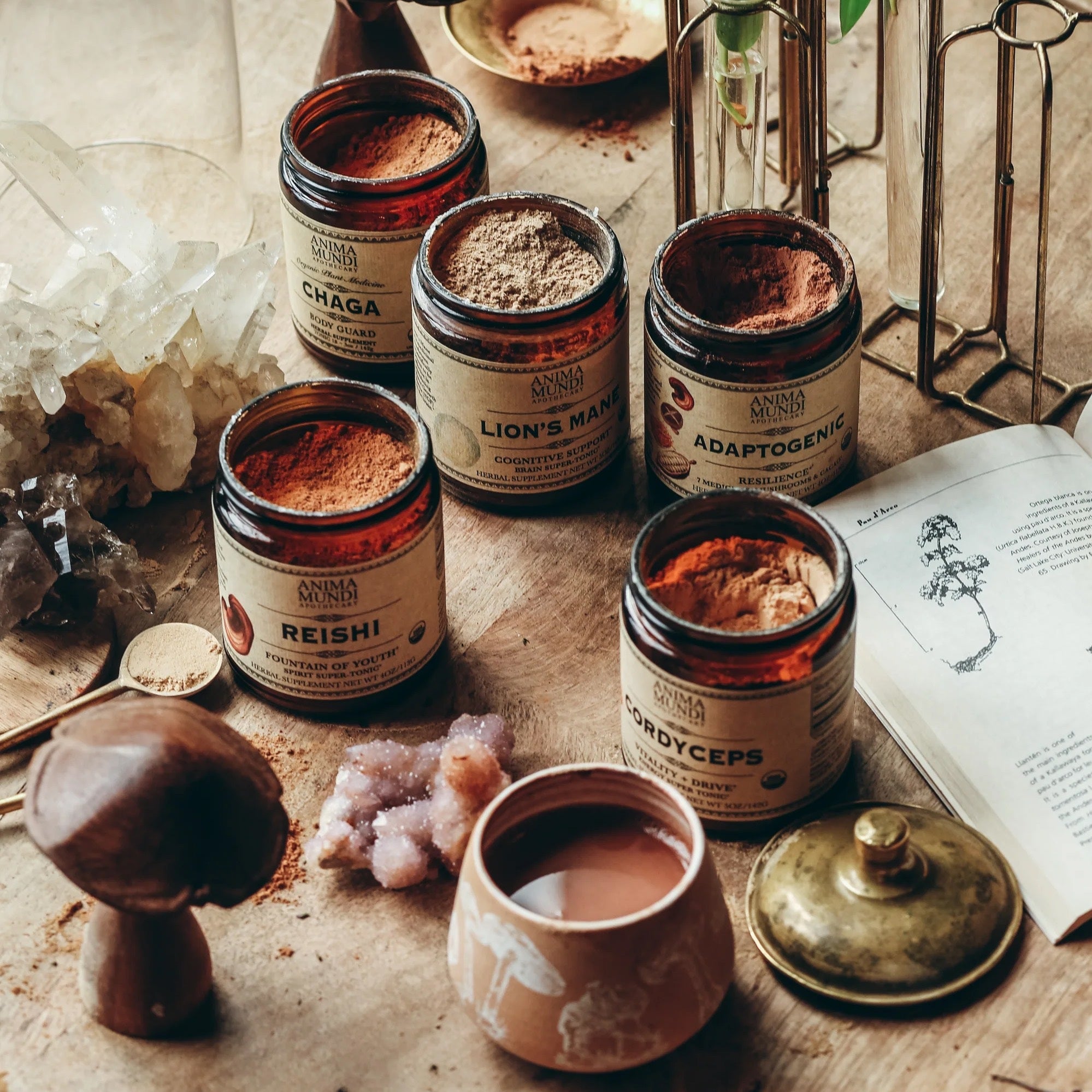 5 offene Anima Mundi Gläser stehen auf einem Holztisch neben einem Pilz.