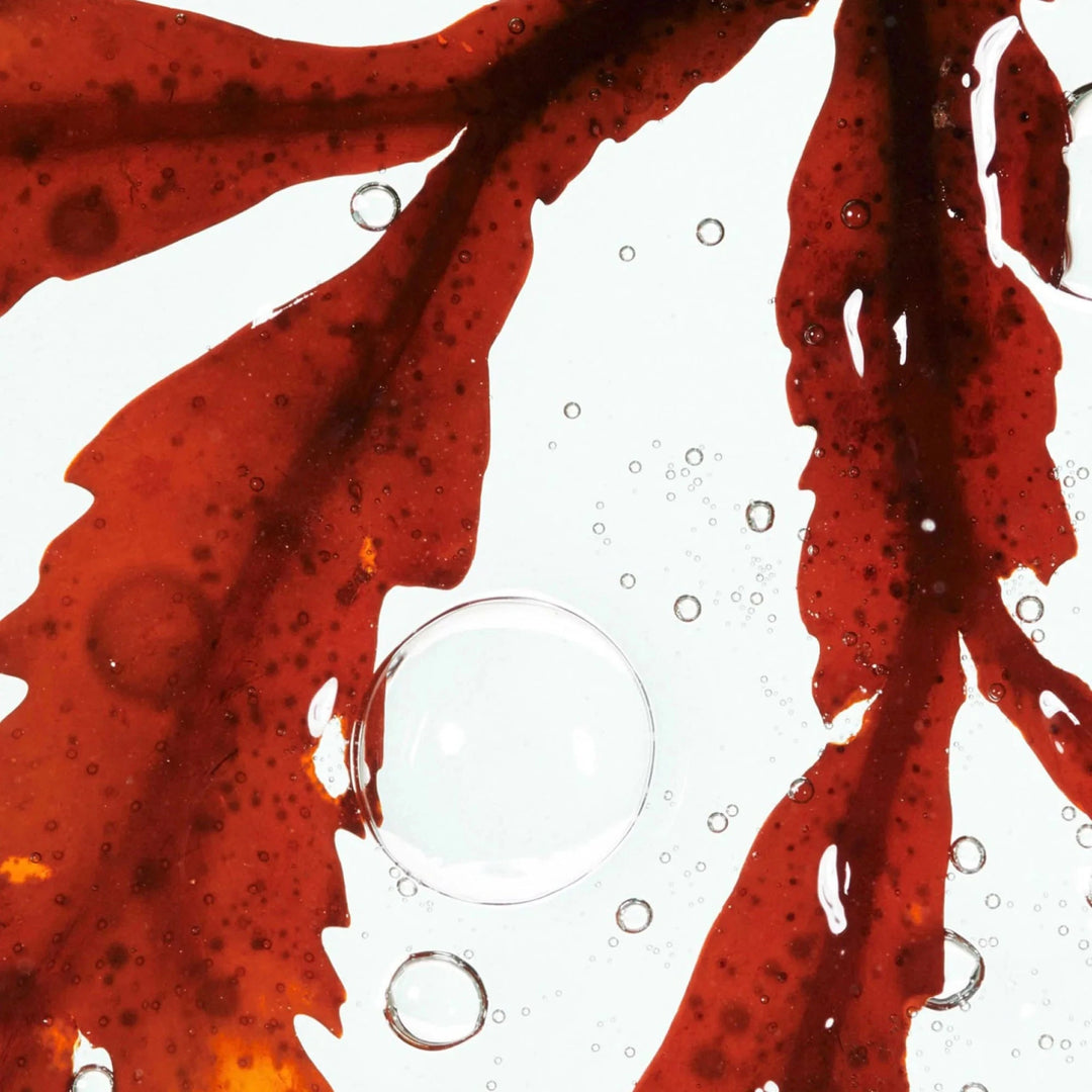 TRAVEL SET The Truth Serum, The Protection Light Cream - SKŌUD Cosmetics North Glow