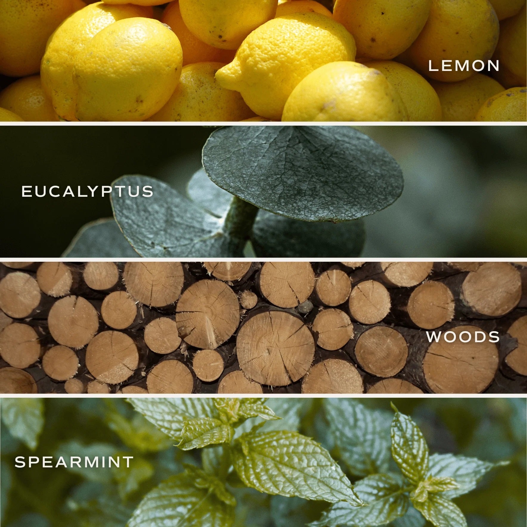 Bilder der Duftstoffe der Badebombe Stress Relief - Sweet Water Decor