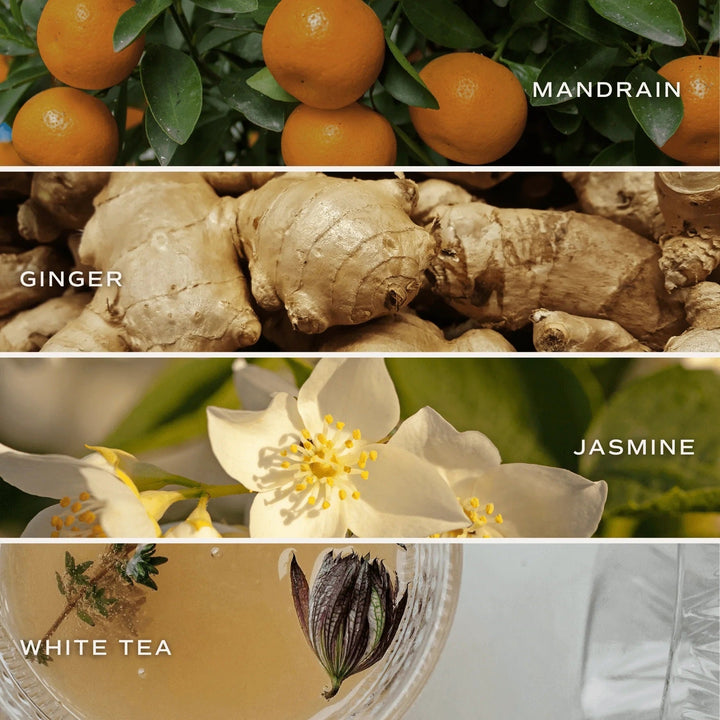 Bath Bomb WHITE TEA and JASMINE - SWEET WATER DECOR Badebombe