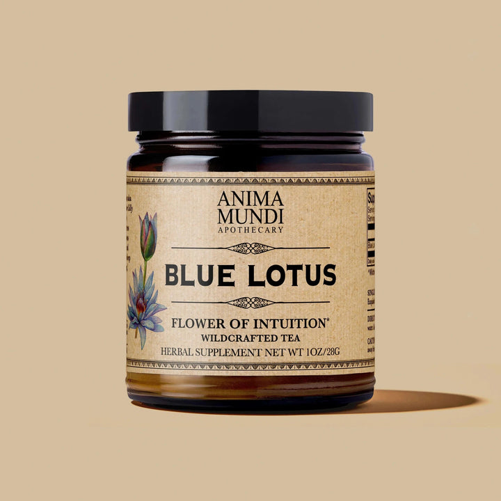 BLUE LOTUS - Wild Harvested Blue Lotus Tea - ANIMA MUNDI