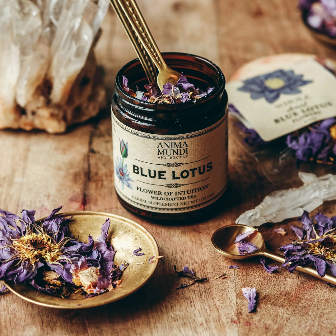 Geöffnetes Glas des Blue Lotus Tees von Anima Mundi mit goldenem Löffel darin. Blue Lotus Blüten liegen dekorativ um das Glas herum.
