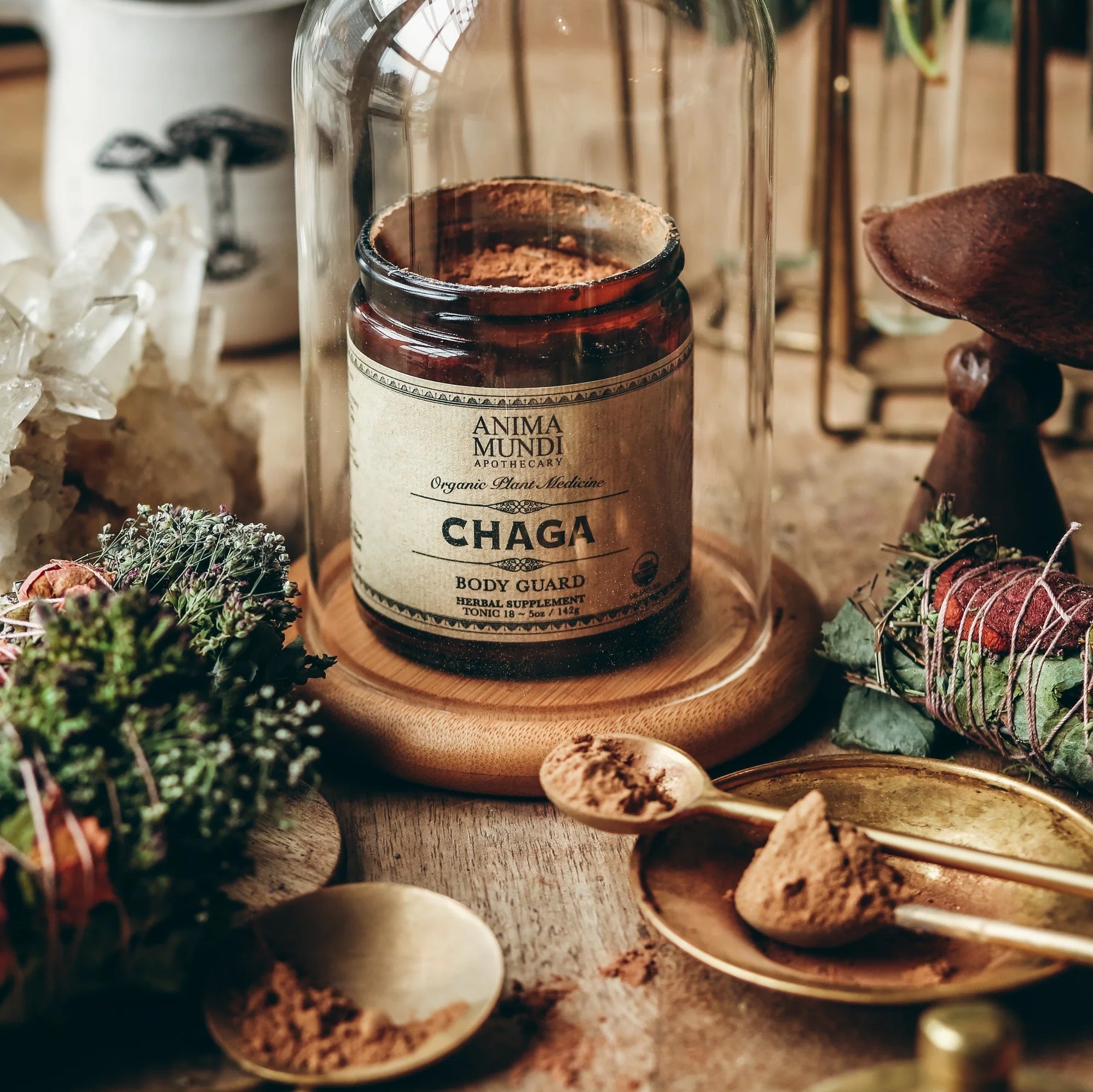 Offenes Schraubglas Chaga von Anima Mundi steht zwischen Kräutern und Pilzen.