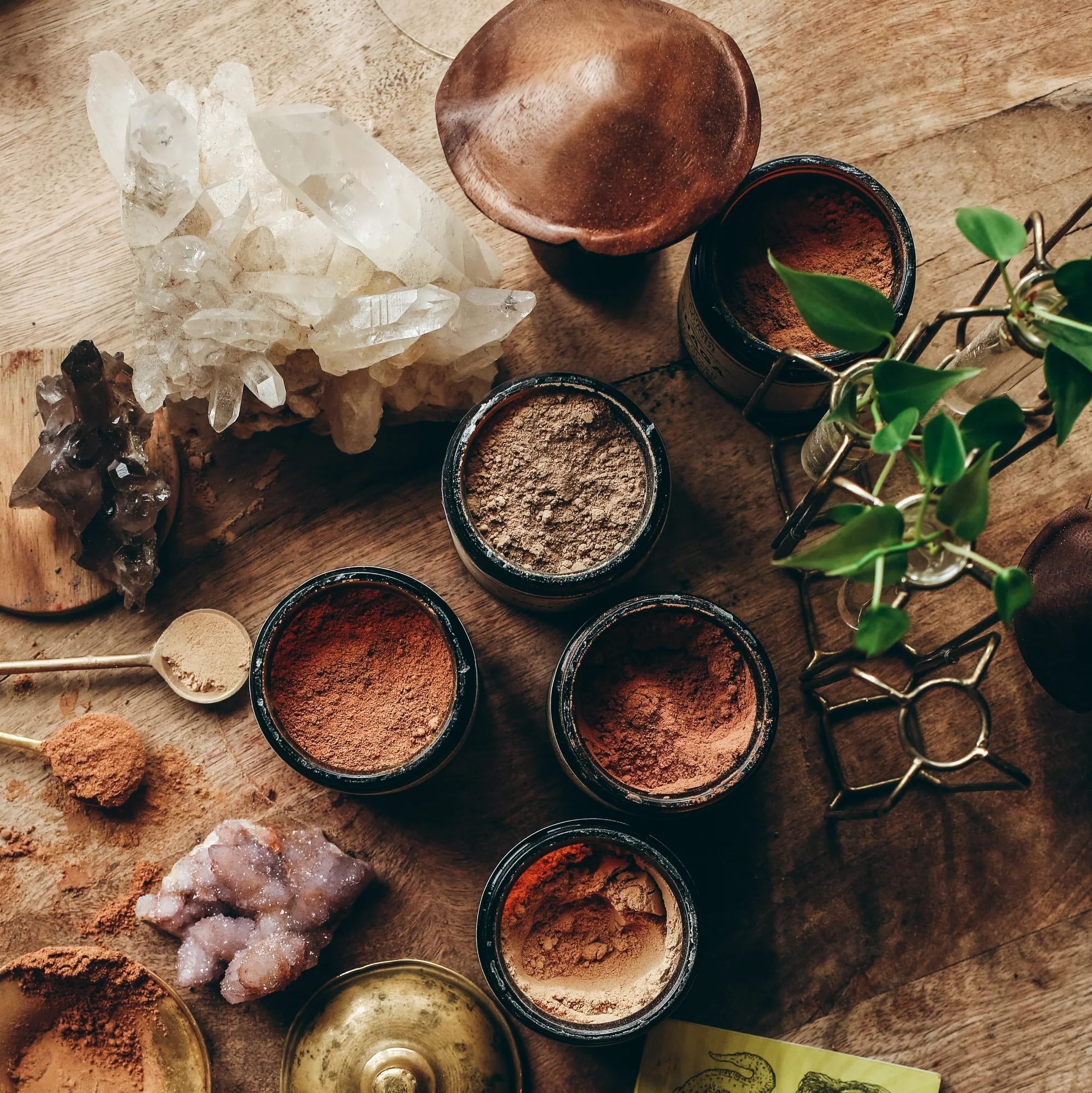 CHAGA Body Guard (mushroom powder) ANIMA MUNDI