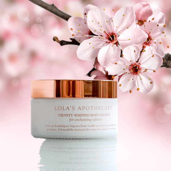 Weißer Tiegel  mit goldenem Decke Cherry Blossom Body Soufflé von Lola's Apothecary steht vor Krischblüten.