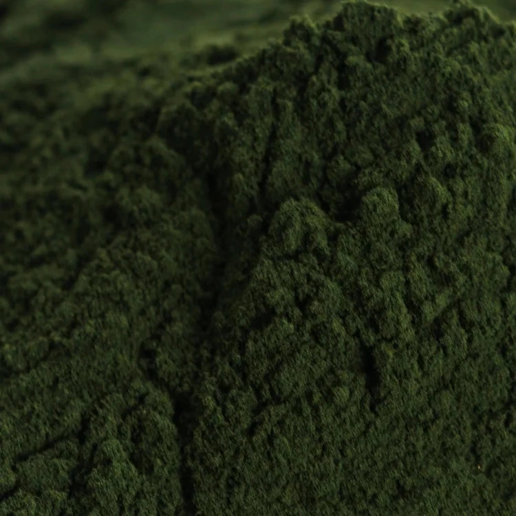 Grüne Algenlandschaft.