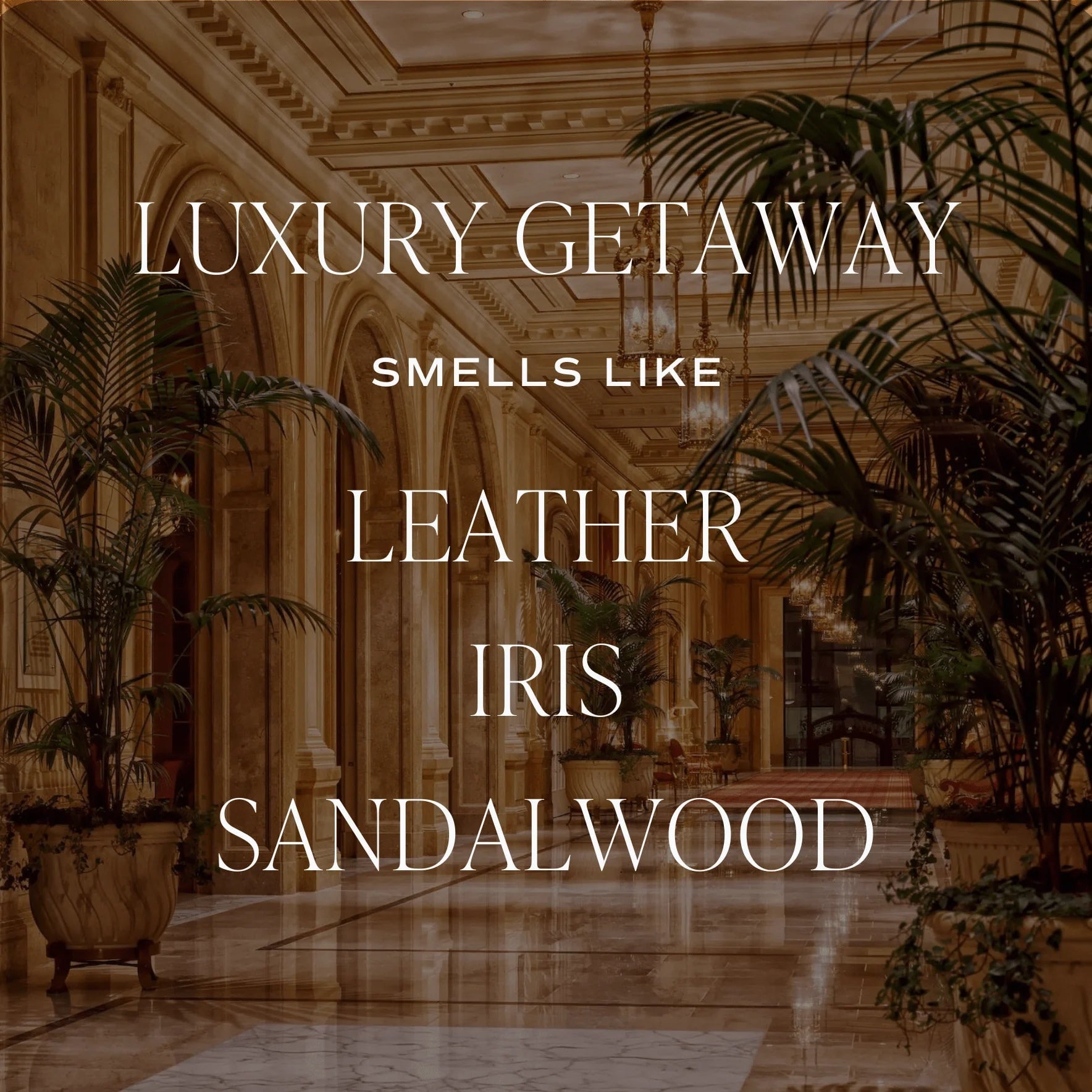 Diffuser "LUXURY GETAWAY" Tinted Glass Jar Reed | SWEET WATER DECOR