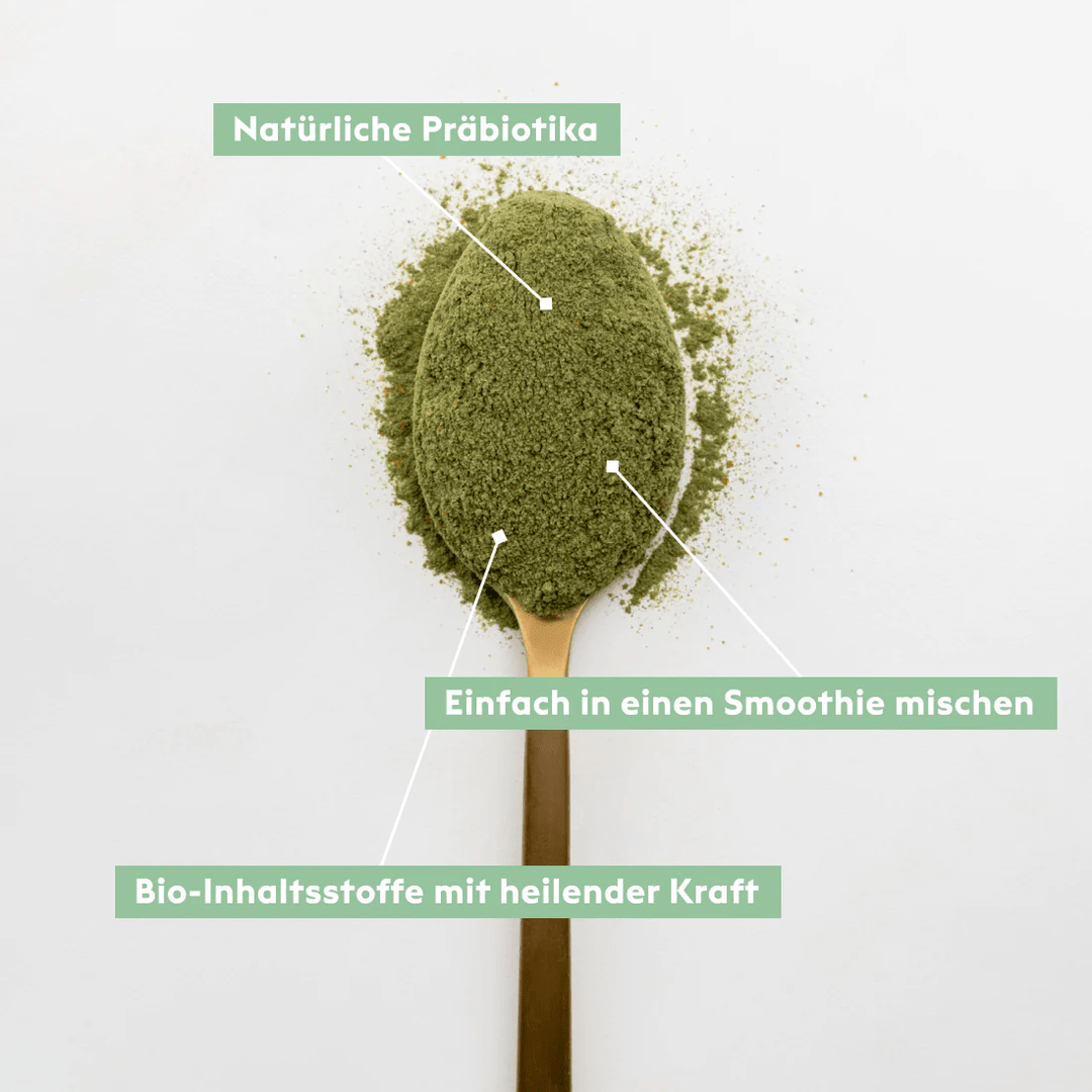 Löffel mit KIANO Green Boost Pulver North Glow