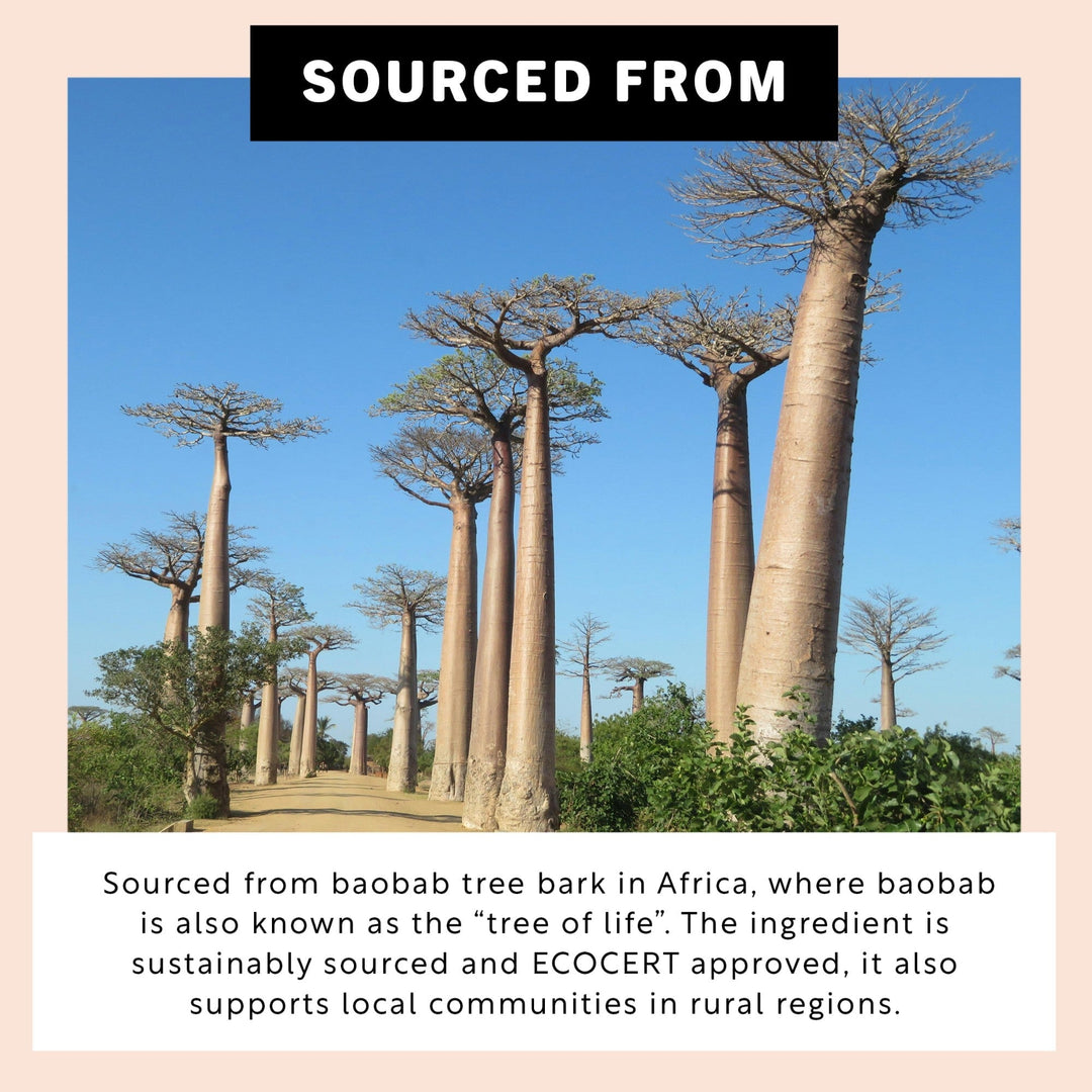 UpCircle Hair Serum – Natürliches Anti-Frizz Serum ohne Silikone
(50ml) North Glow