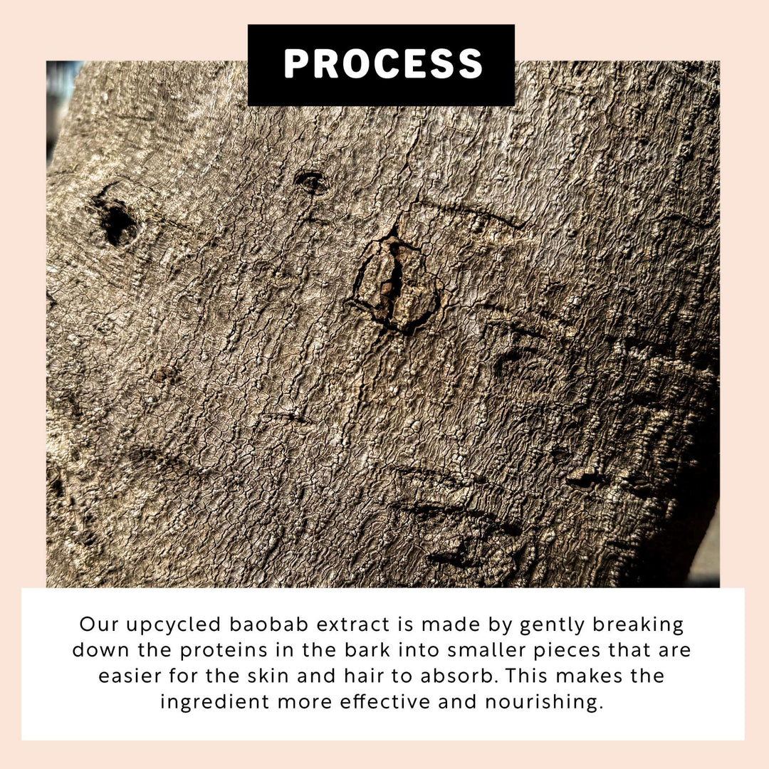 UpCircle Hair Serum – Natürliches Anti-Frizz Serum ohne Silikone
(50ml) North Glow