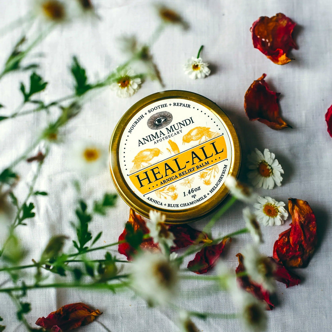 HEAL-ALL Arnica Relief Balm | reparierender Balm - ANIMA MUNDI North Glow