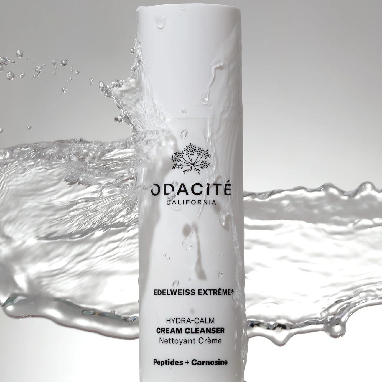 Detail der Verpackung des Odacité Hydra-Calm Cleanser – luxuriöses Design mit pflanzlichen Wirkstoffen