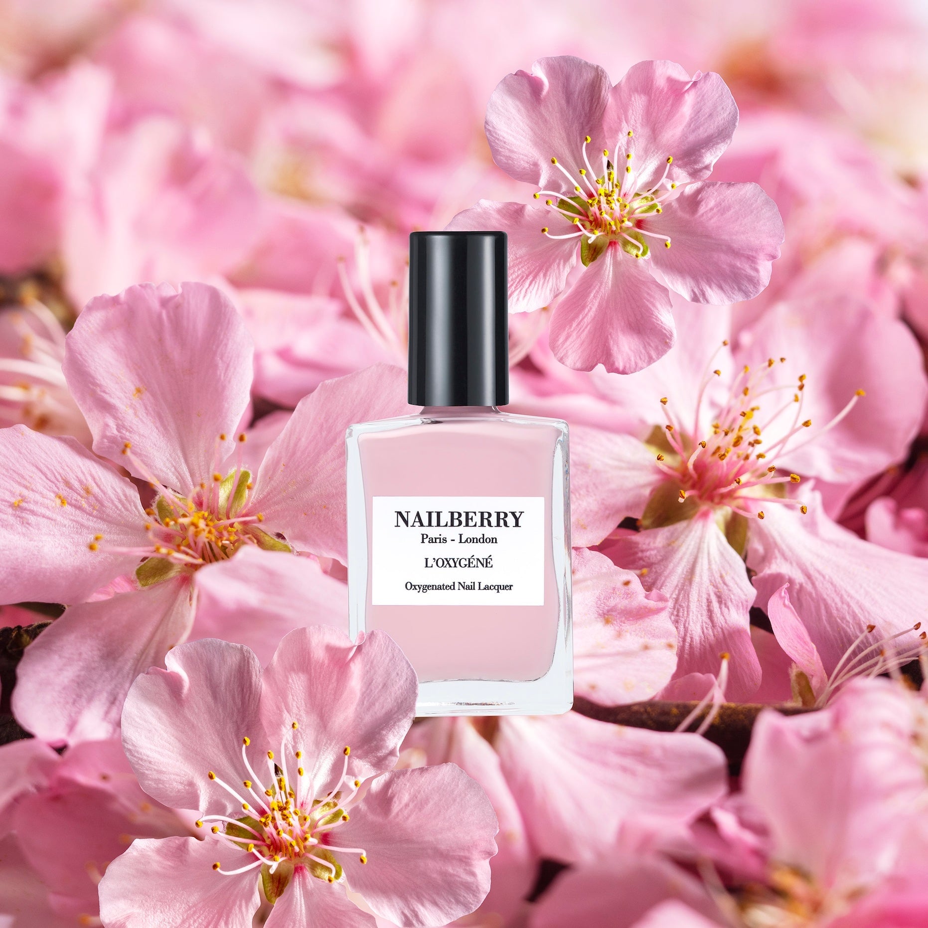 Kyoto Bloom - Nailberry Nagellack (Frühjahr 2025)