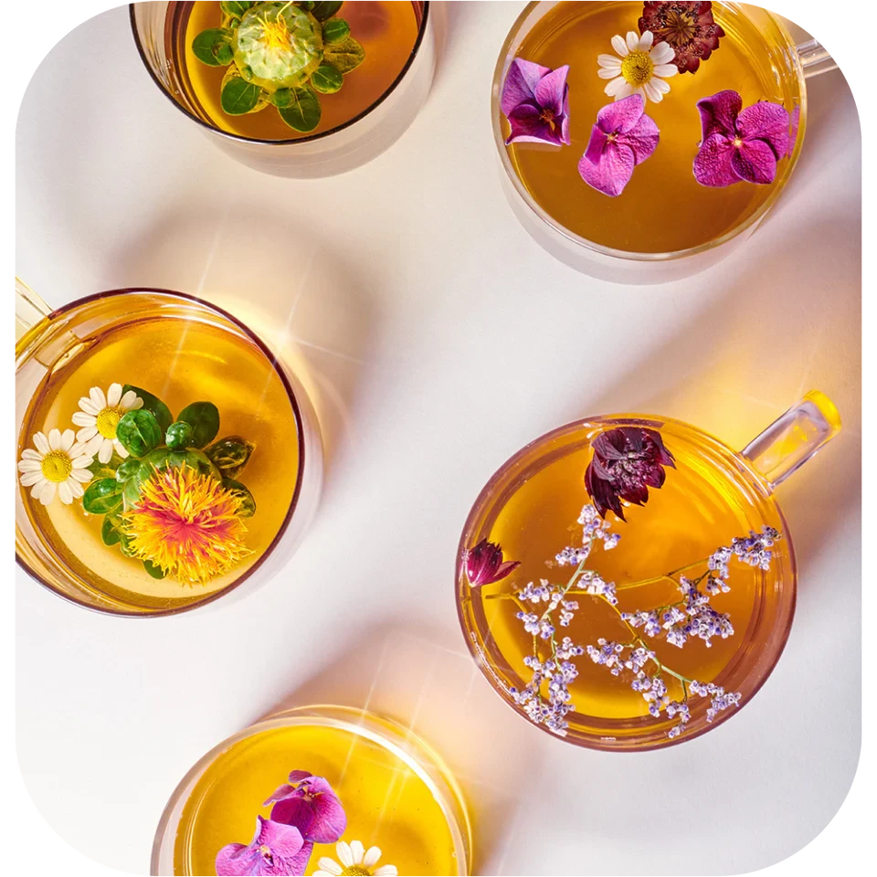 LE BIG CLEANSE Lemongras & Hibiscus (Tee) - Cosmic Dealer North Glow
