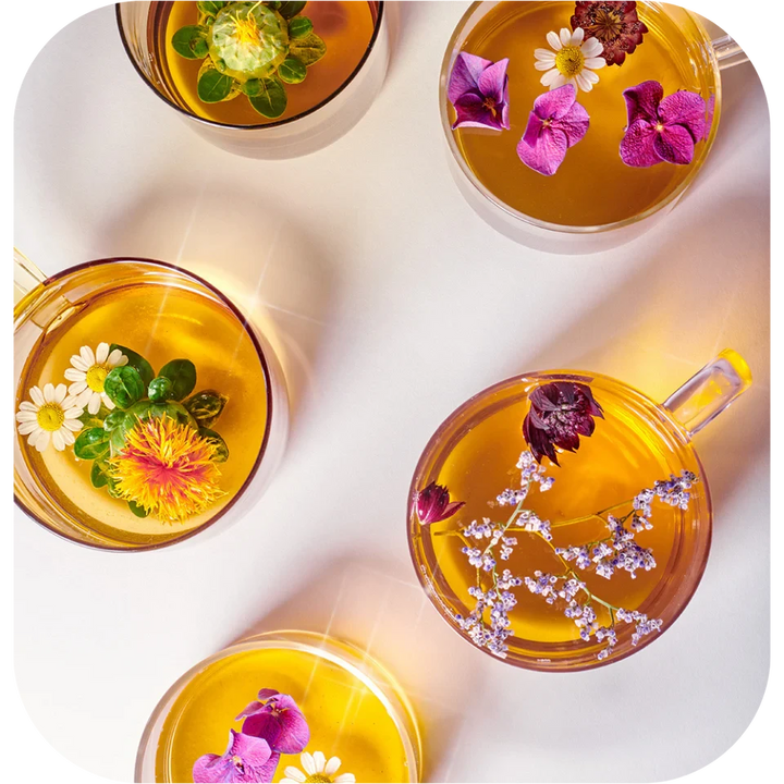 LE BIG CLEANSE Lemongras & Hibiscus (Tee) - Cosmic Dealer