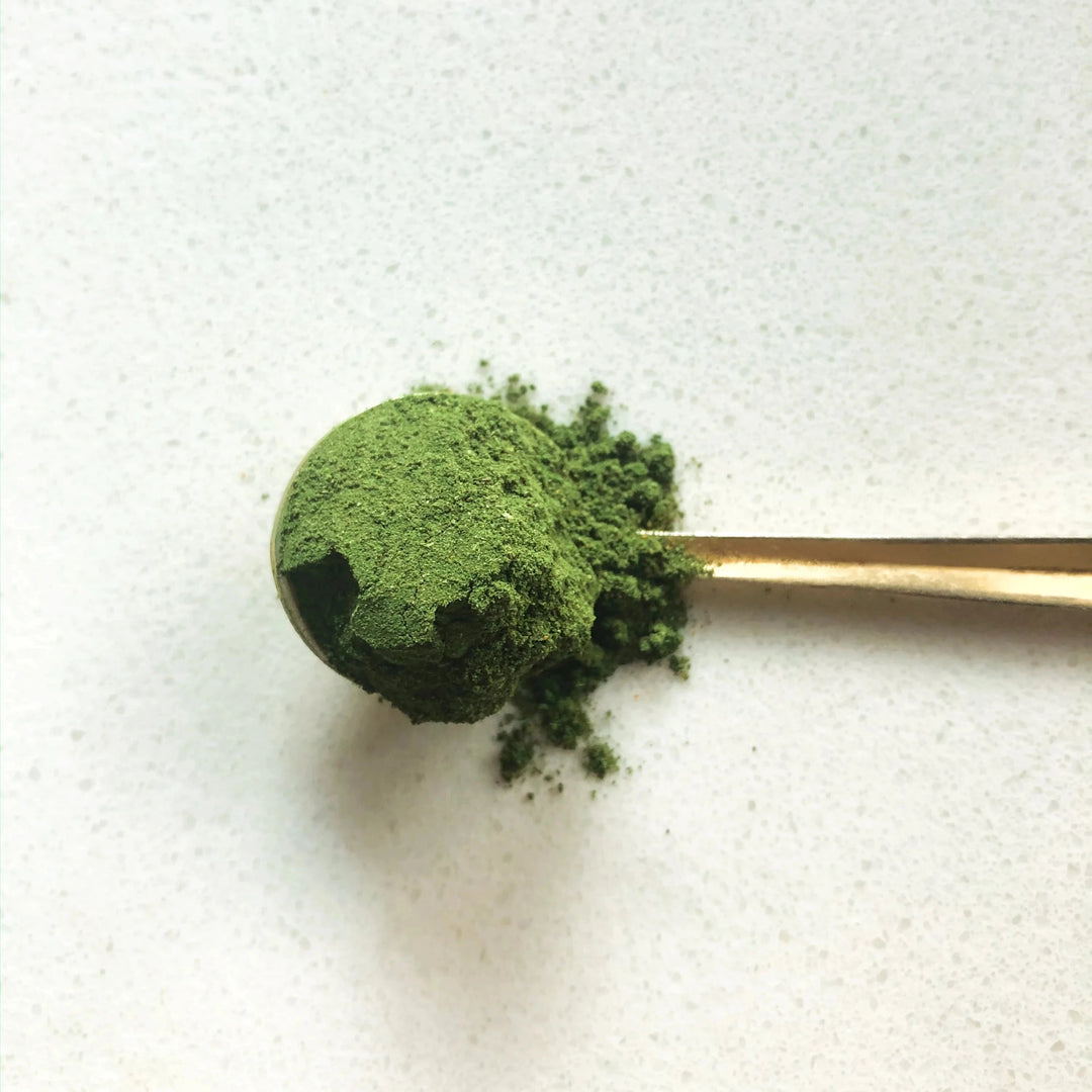 LIVER Vitality Greens (Vitalität & Entgiftung) ANIMA MUNDI North Glow