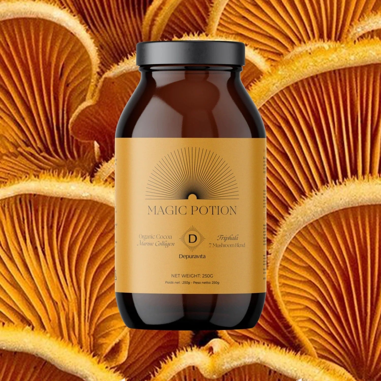 Depuravita Magic Potion braunes Schraubglas steht vor Nahaufnahme von Pilzen.