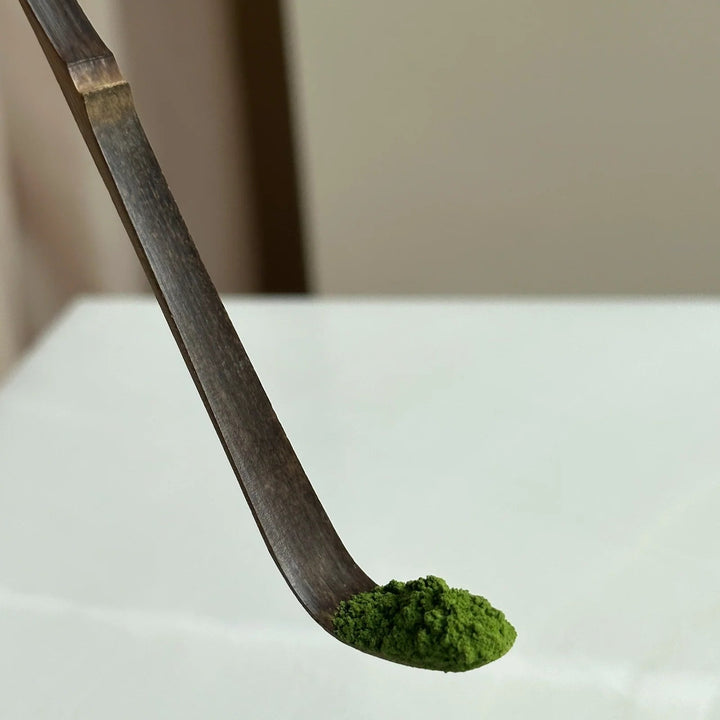 Matcha Löffel (Chashaku Purple) HEALTH BAR
