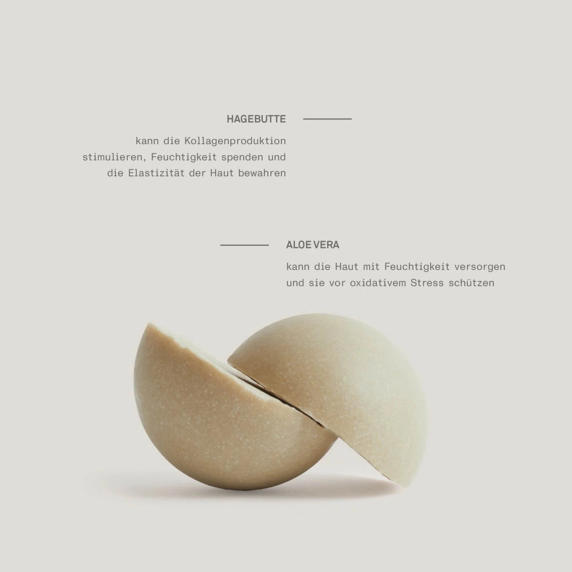 Natürliche Wirkstoffe im Refreshing Body Wash – mit Avocadoöl, Sheabutter, Aloe Vera, Hagebutte und Olivenöl.