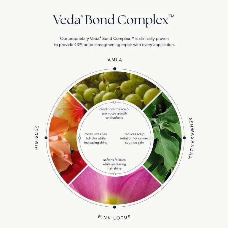 Ranavat Veda Bond Complex Chart auf weißem Hintergrund