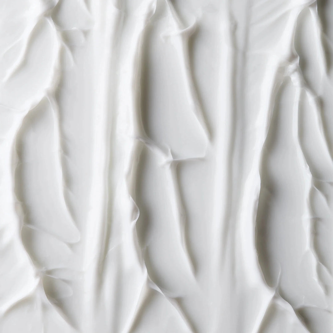 Sanfte, reichhaltige Textur der The Bliss Rich Cream – feuchtigkeitsspendende Pflege für trockene Haut North Glow