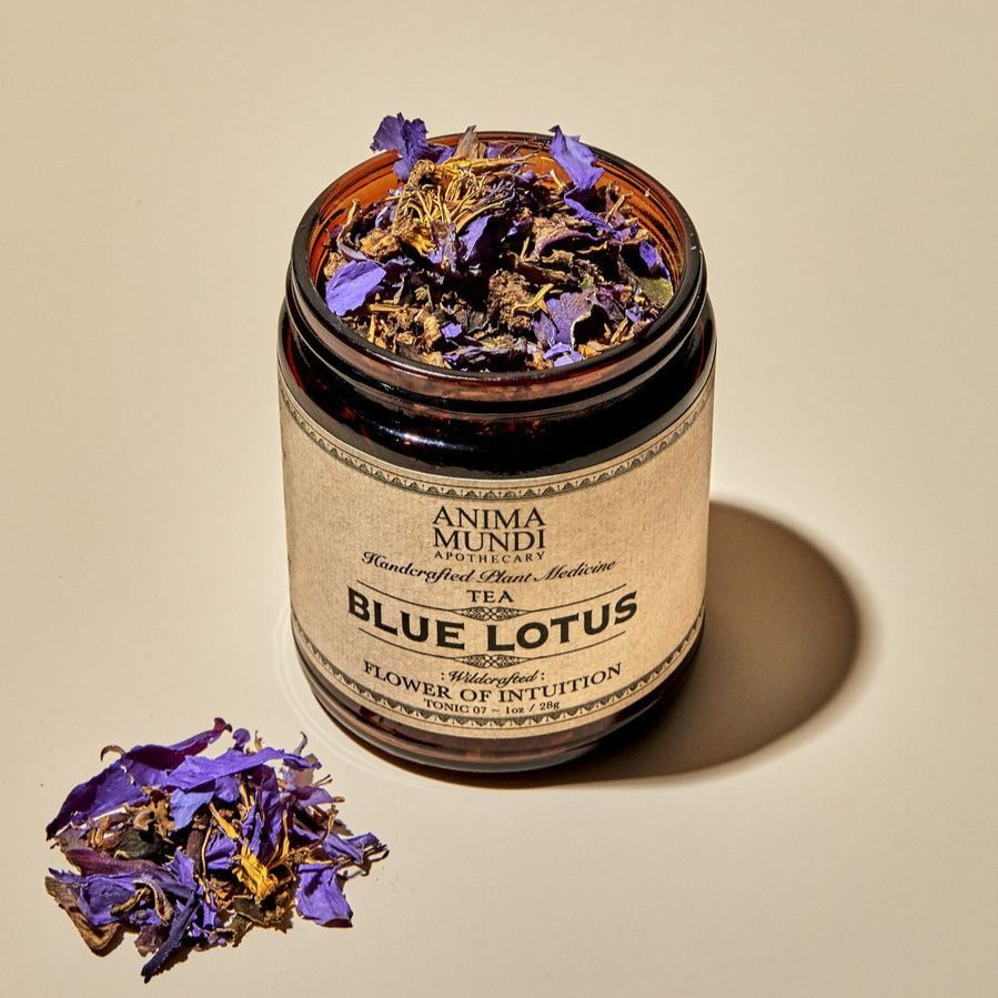 Blue Lotus & Stamen - entspannend wirkender Tee aus blauem Lotus North Glow