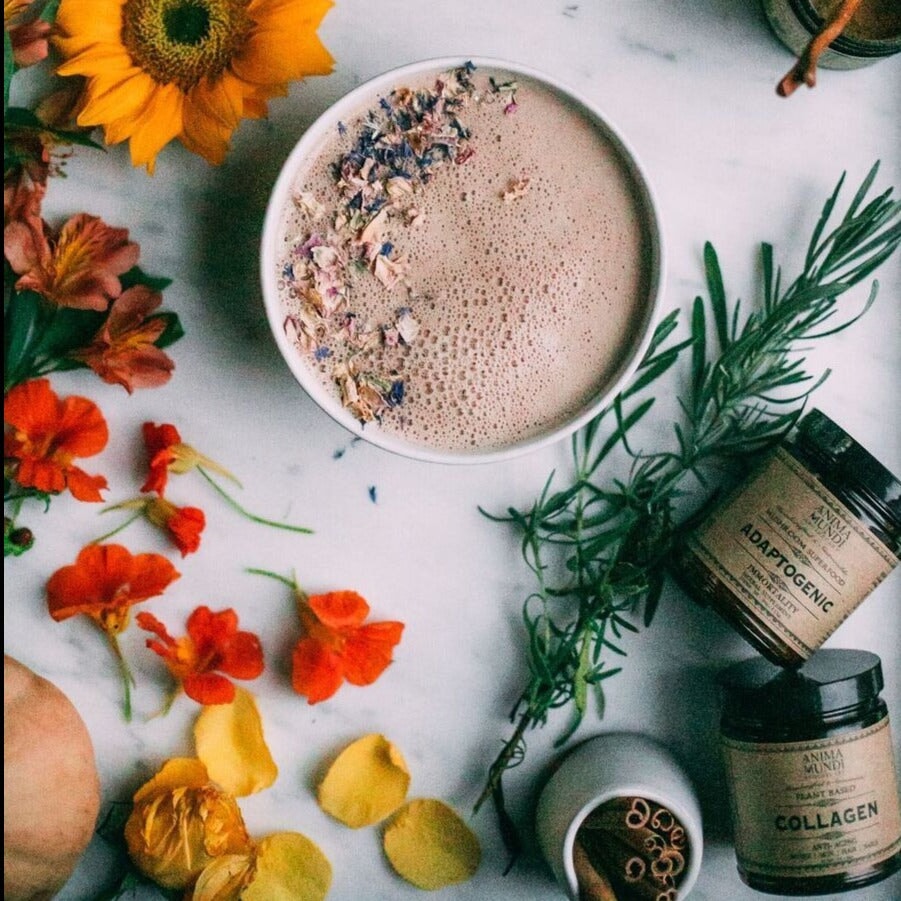 ADAPTOGENIC - Resilience 7 Mushrooms and Cacao Powder from ANIMA MUNDI