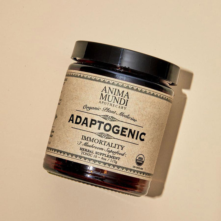 ADAPTOGENIC - Resilience 7 Mushrooms and Cacao Powder von ANIMA MUNDI