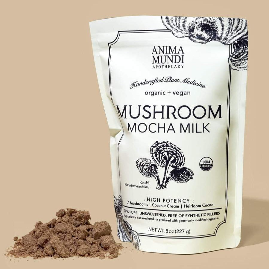Mushroom Mocha Milk - sähmig weiches Mokkapulver mit Eisen und Magnesium North Glow
