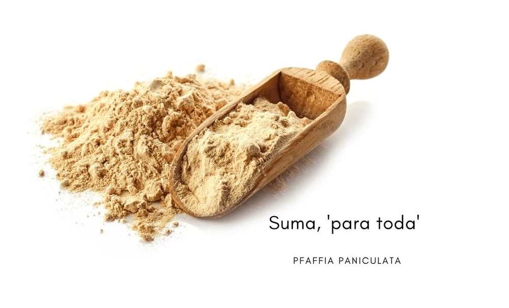 SUMA Pfaffia paniculata Wurzelpulver von Anima Mundi