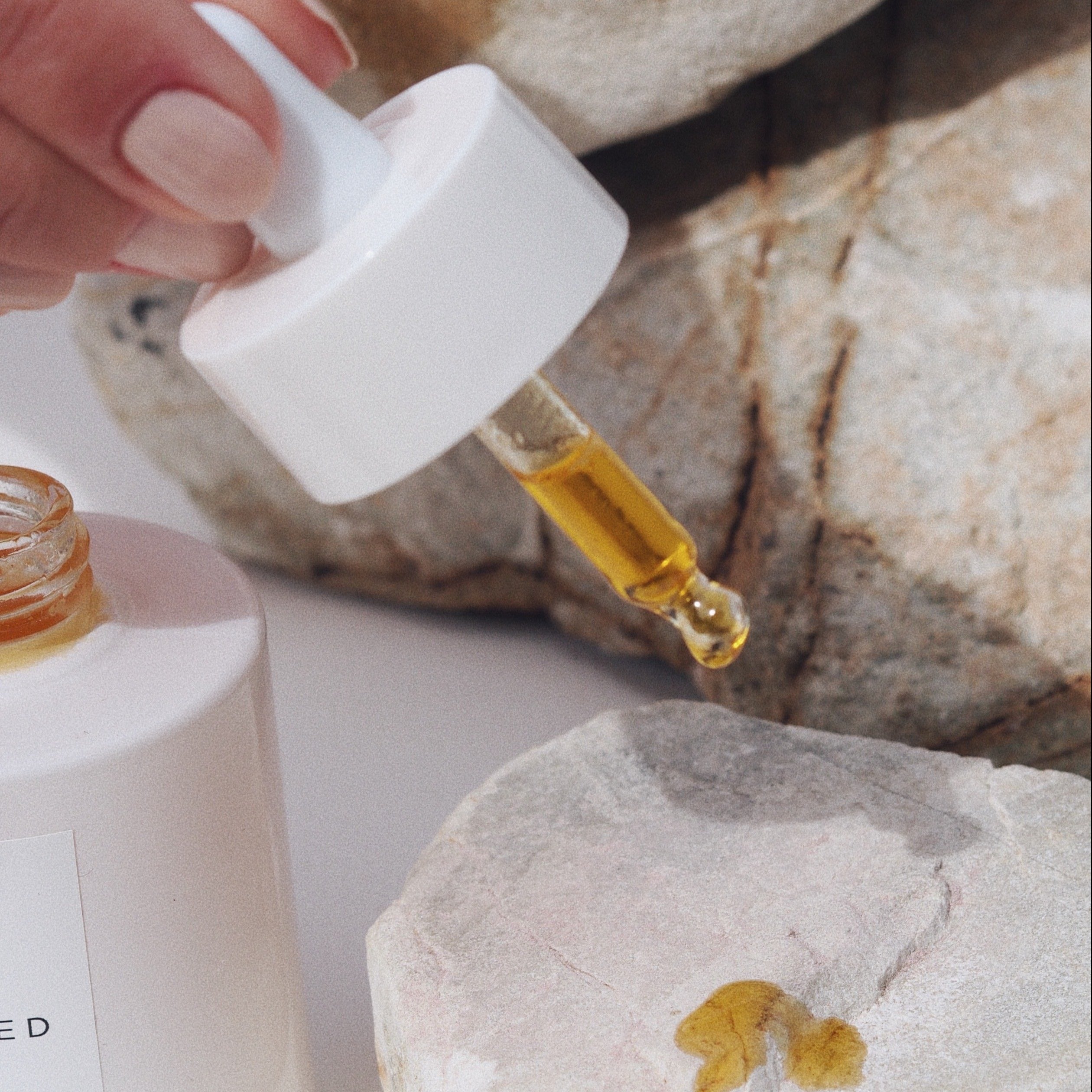 Bakuchiol Cell Regenerating Serum | Wildcrafted Organics - Serum