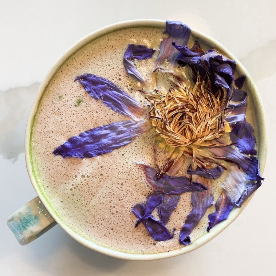 Teebecher aus der Vogelperspektive mit Blue Lotus Tee und getrockneter Blue Lotus Blüte. North Glow