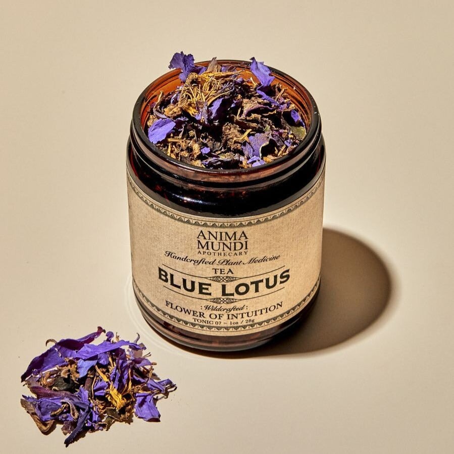 BLUE LOTUS (Tee aus blauem Lotus) ANIMA MUNDI