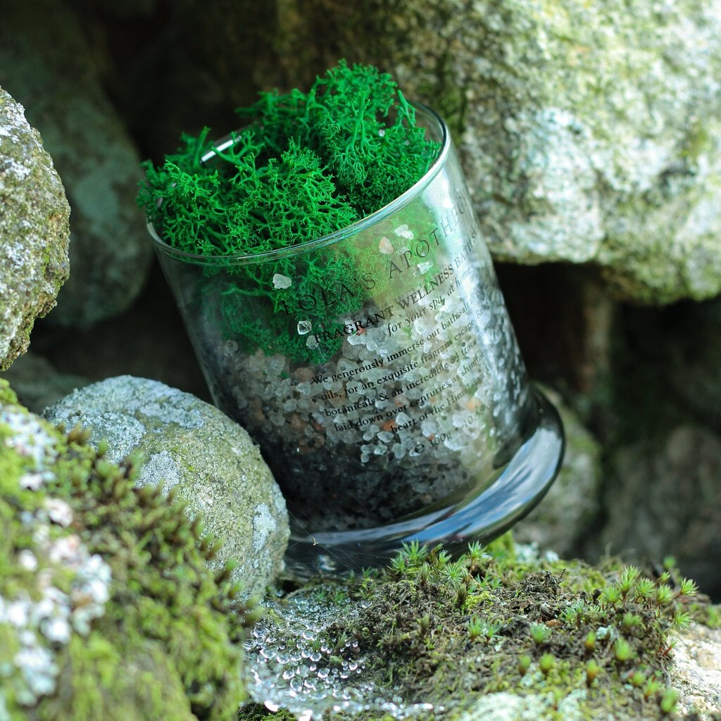 Lola´s Apothecary Breath of Clarity Bath Salts Verpackung auf moosigen Stein North Glow