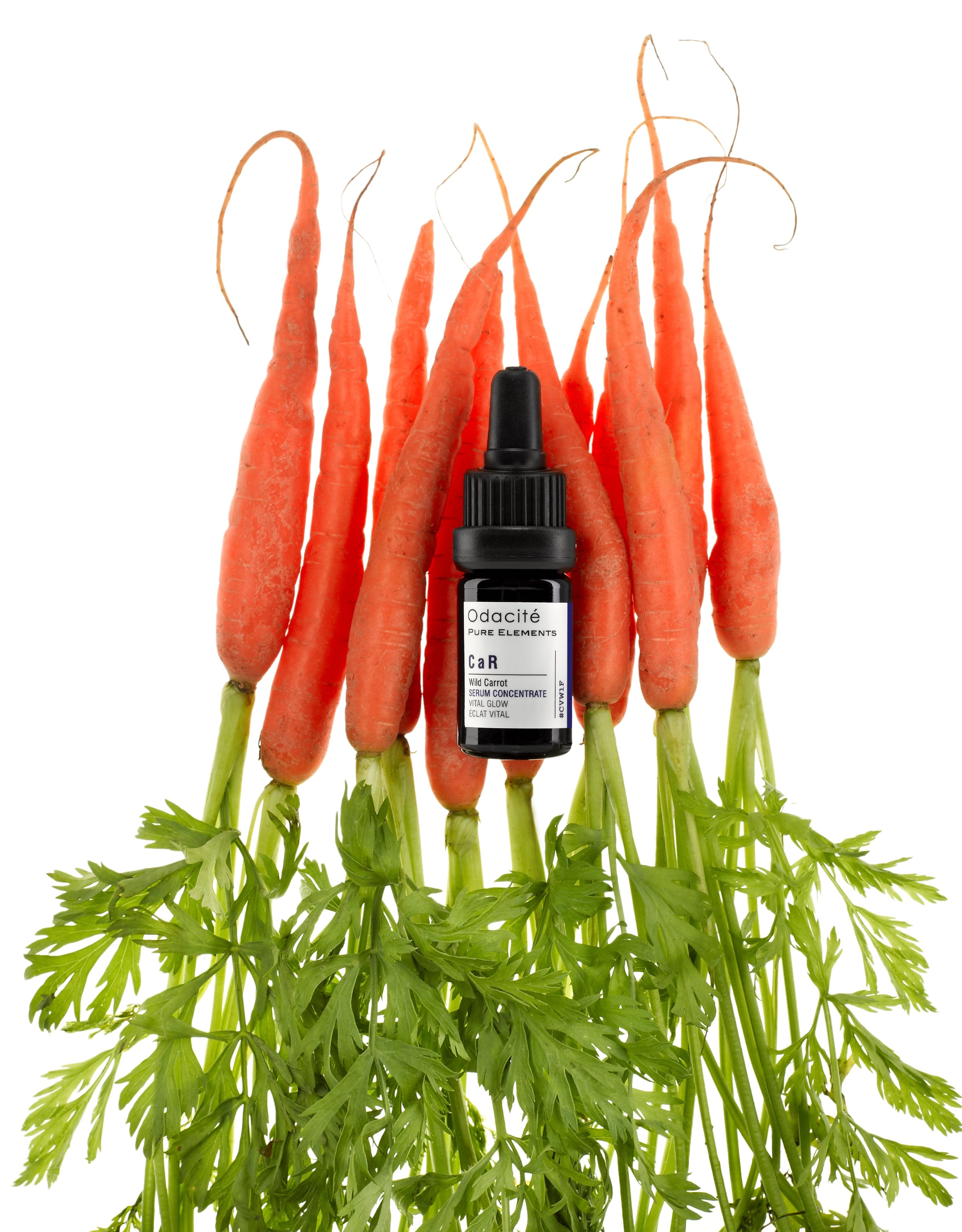 Karotte, Augen Kontur, Antiaging, Skincare, Feuchtigkeit, Beauty, Dehydration, Naturkosmetik