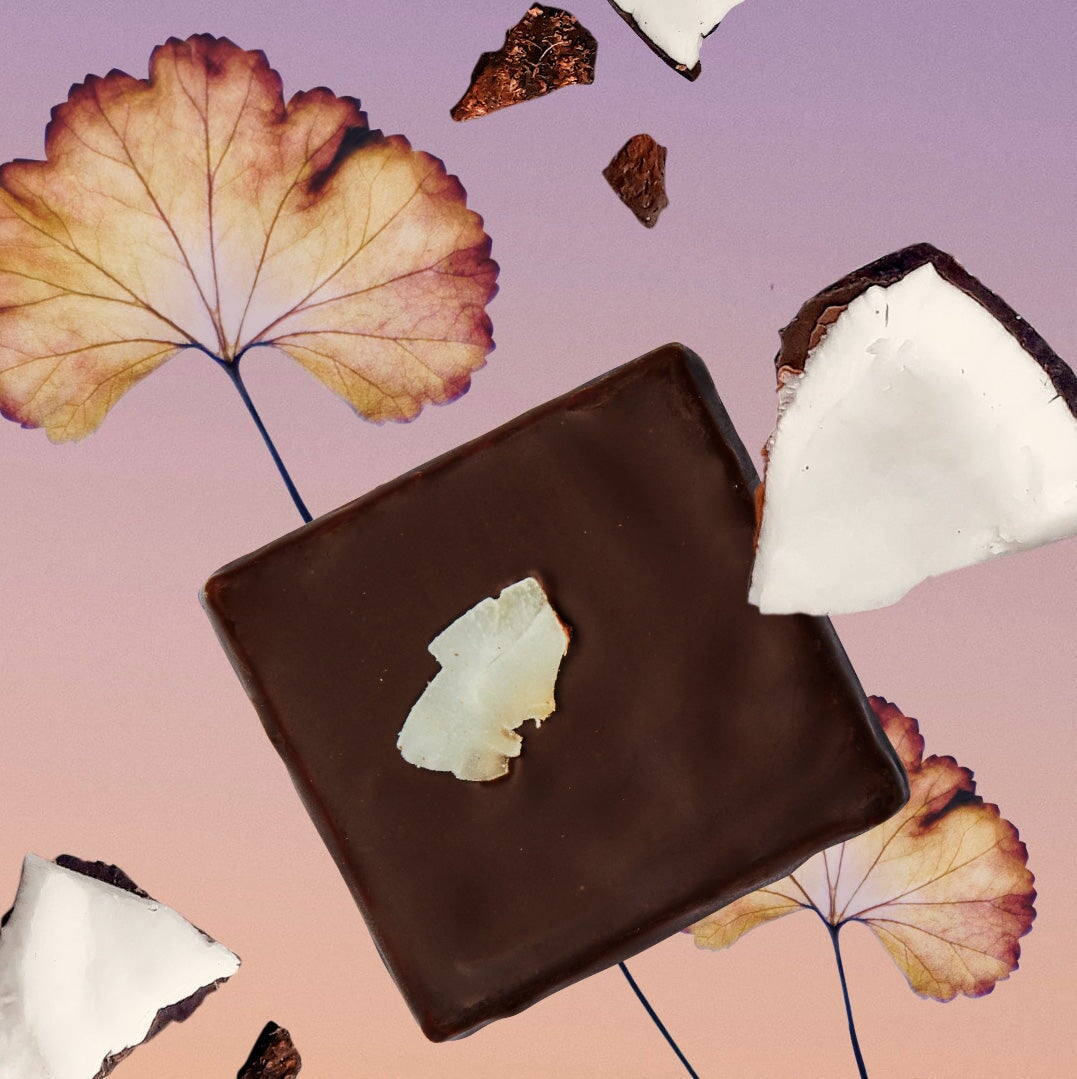 BOX of 20 - Botanical Box - 20 Mini Schokoladen - COSMIC DEALER Geschenbox