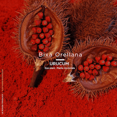 Le Nude Tinctorial WANTURA No 031 (Lippenstift) - Le Rouge Francais