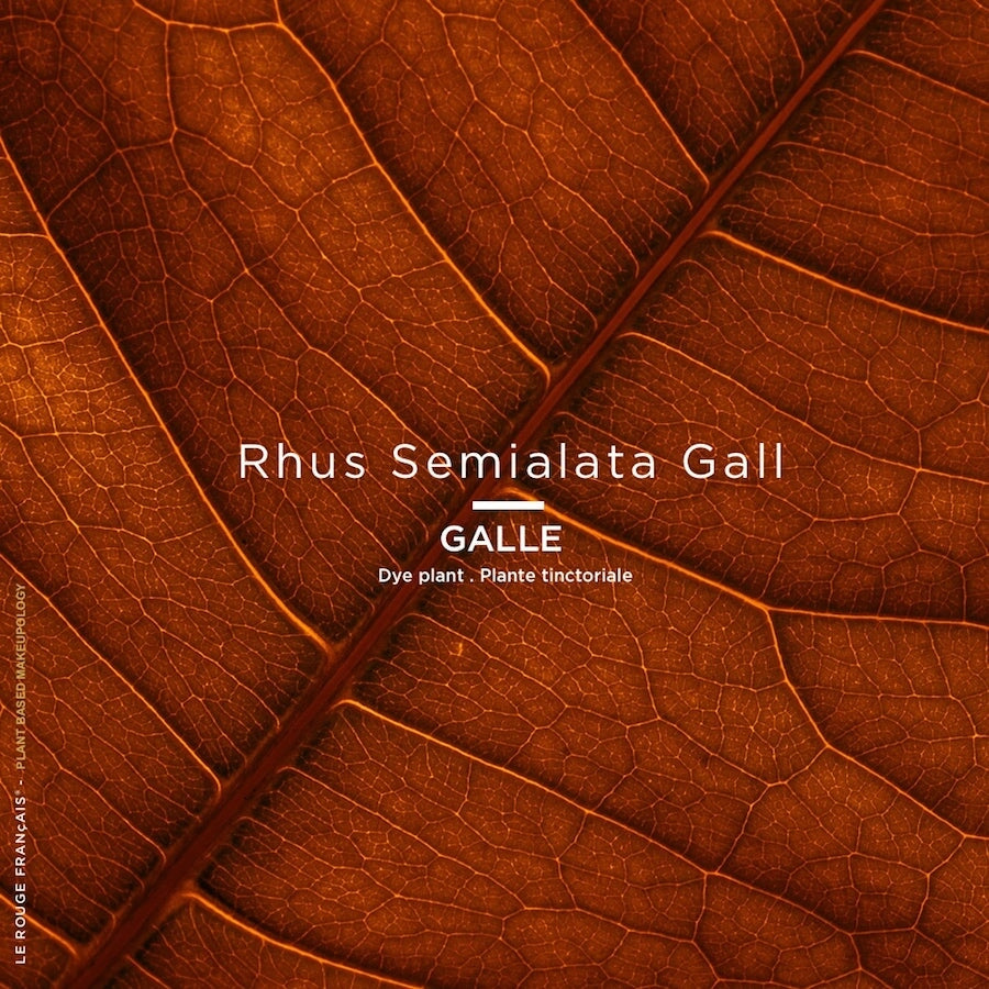 Le Rose Tinctorial LICANDRE No 040 - LE ROUGE FRANCAIS lipstick