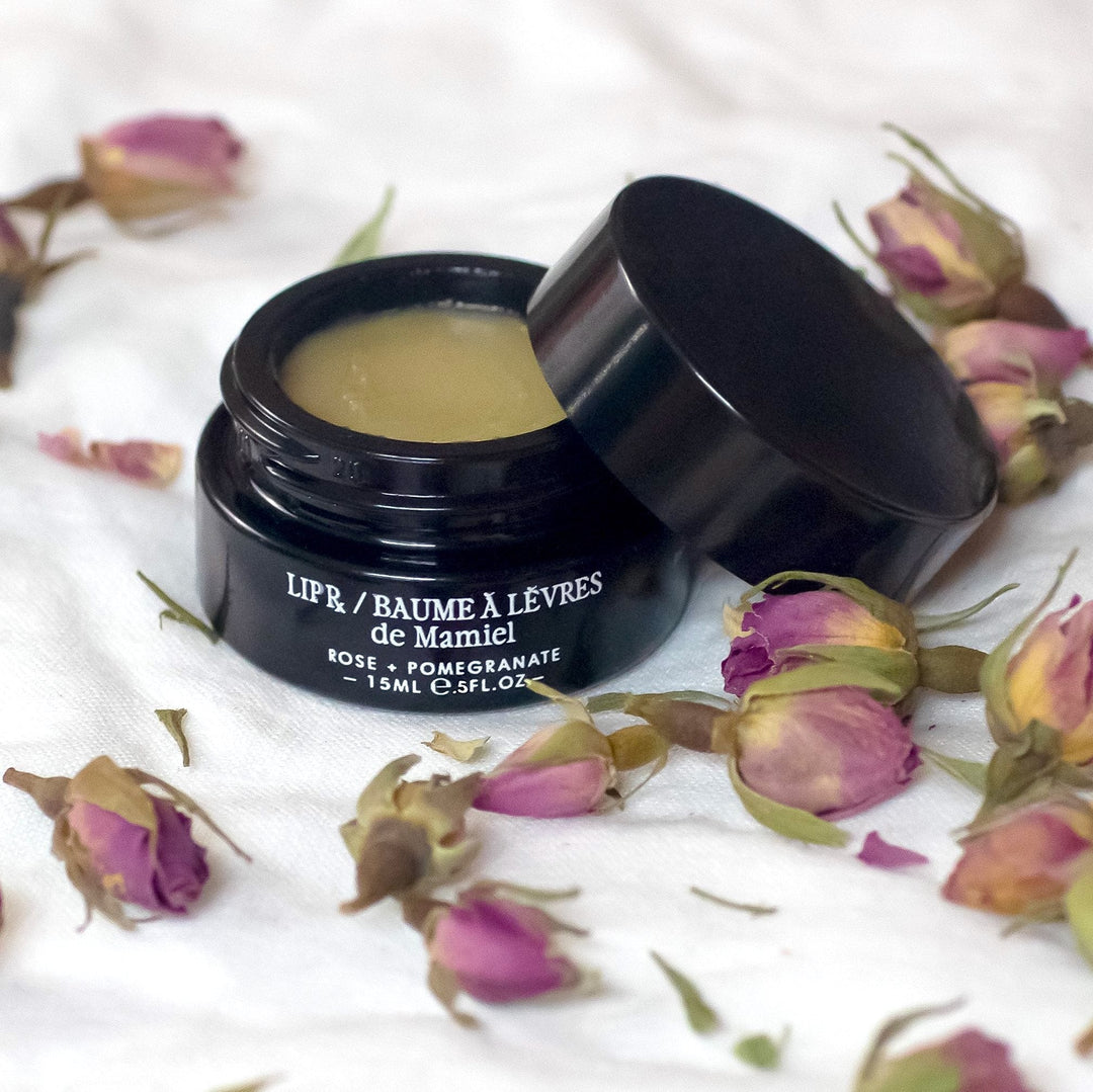 De Mamiel Lip Rx Tiegel geöffnet mit getrockneten Rosen auf weißem Hintergrund