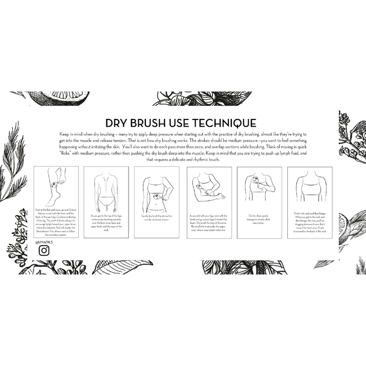 Bildliche Beschreibung der verschiedenen Anwendungsmöglichkeiten der Rückansicht der UMA Lymphatic Detox Dry Brush.