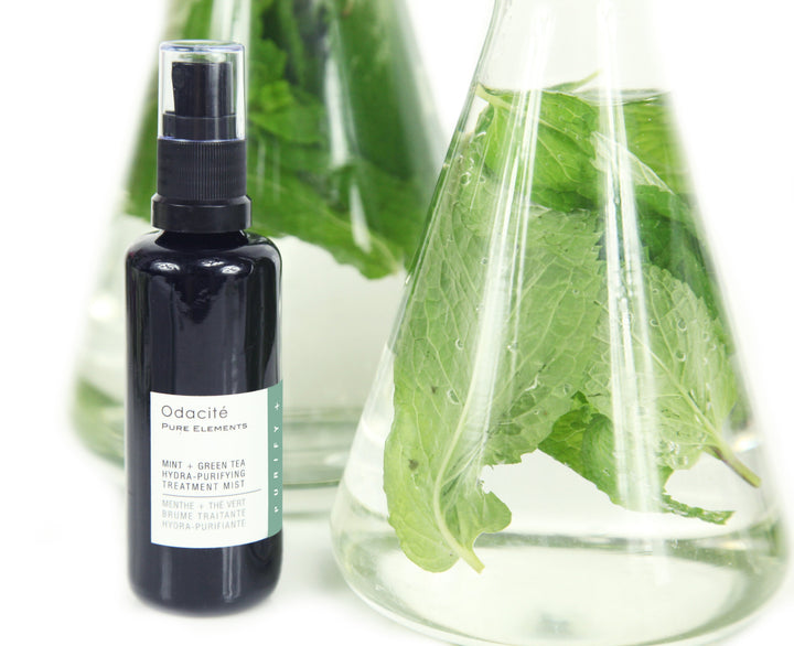 Mint + Green Tea Hydra-Purifying Treatment Mist - Toningspray mit Minze und Grünem Tee