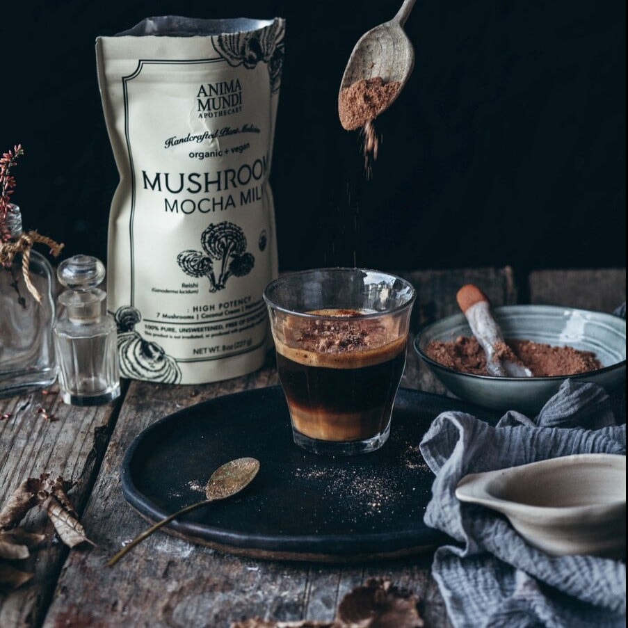 MUSHROOM MOCHA MILK - Mokkapulver ANIMA MUNDI North Glow