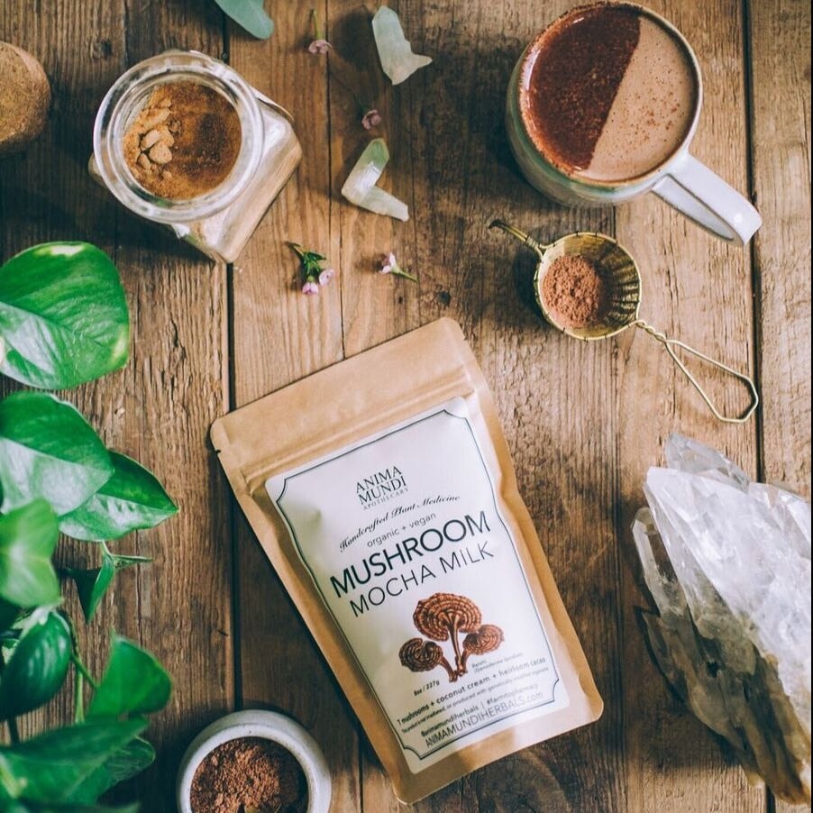 MUSHROOM MOCHA MILK - mocha powder ANIMA MUNDI